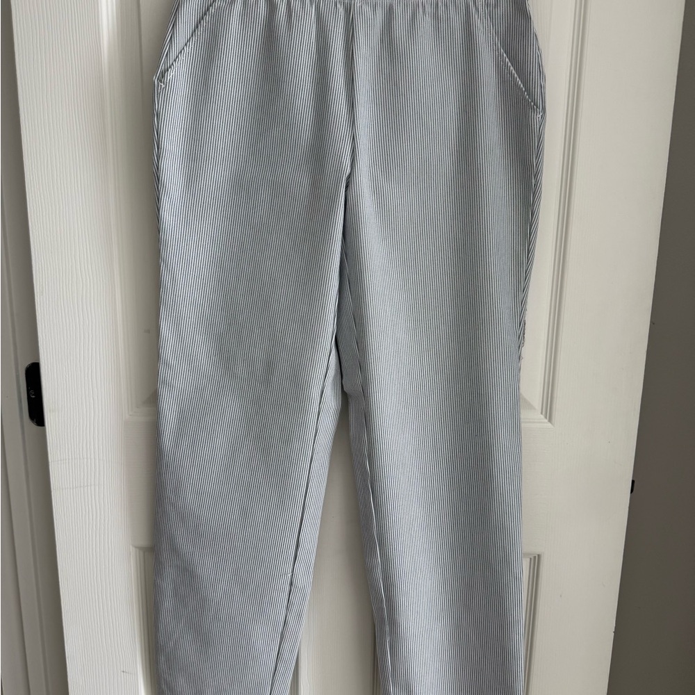 Max Studio Striped Pant